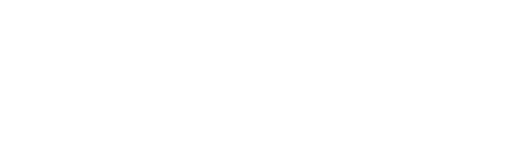 Build the future white logo