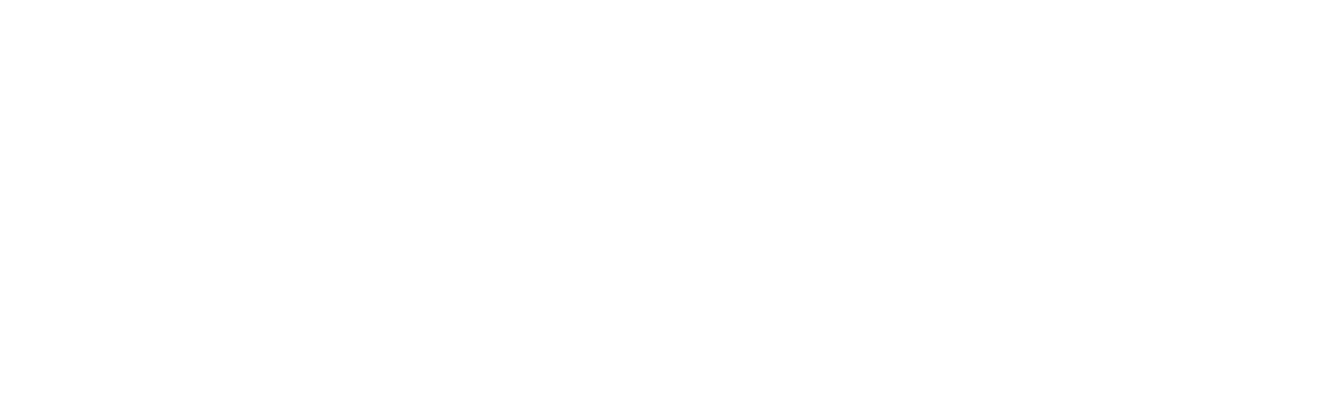 Build the future white logo