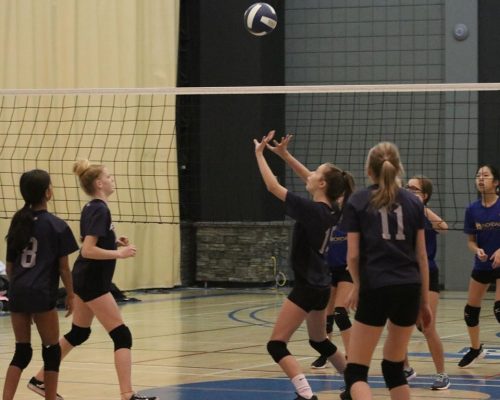 Junior Girls Playing Volleyball at Springs Christian Academy